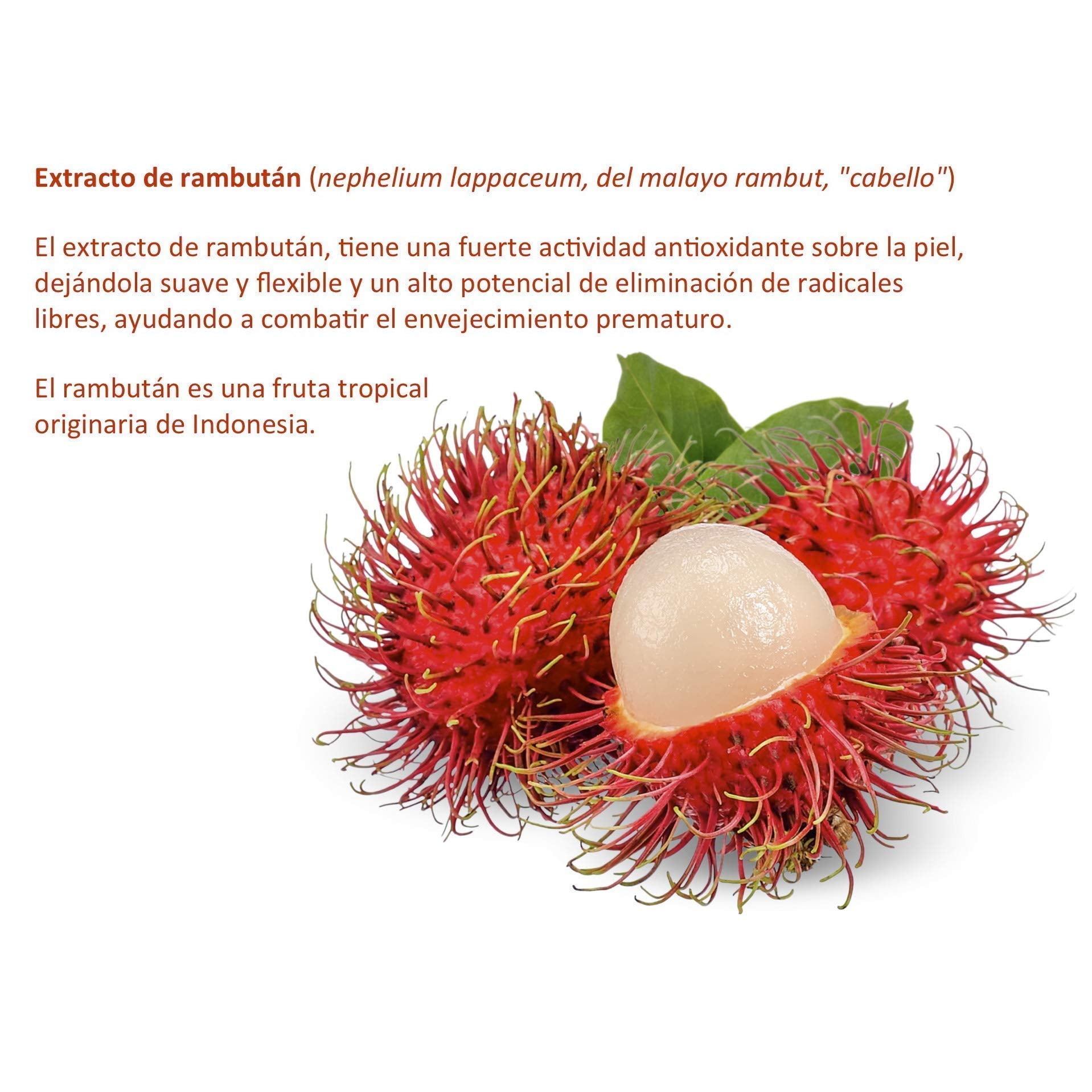 Crema Facial de Arroz, Descanso Perfecto, para uso Nocturno. Antioxidante, Hidratante, Nutritiva. Protege, hidrata y mejora el aspecto del cutis. Suaviza arrugas y manchas.