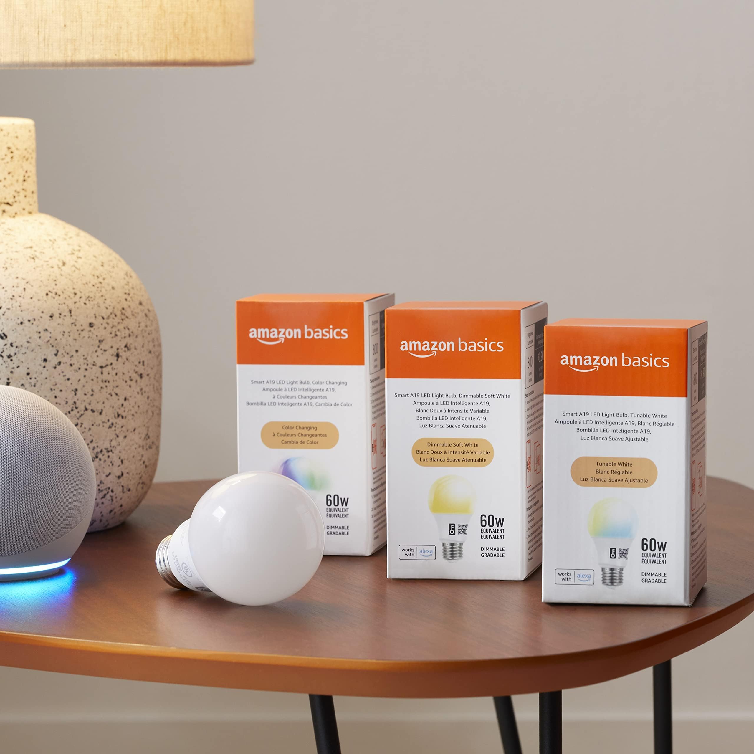 Amazon Basics - foco LED inteligente A19, cambio de color, 9 W (equivalente a 60 W), 800 LM, funciona solo con Alexa, Wi-Fi de 2.4 GHz, no requiere concentrador, 1 paquete