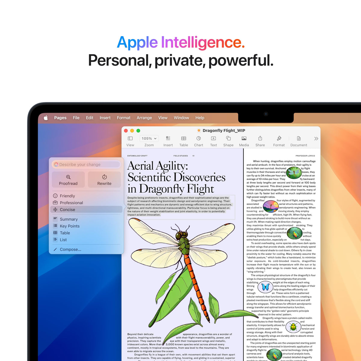 2025 Apple MacBook Air con Apple M4 Chip (13-Inch, 16GB Memoria Unificada, 512GB SSD de Almacenamiento) (QWERTY English) Medianoche (Reacondicionado)