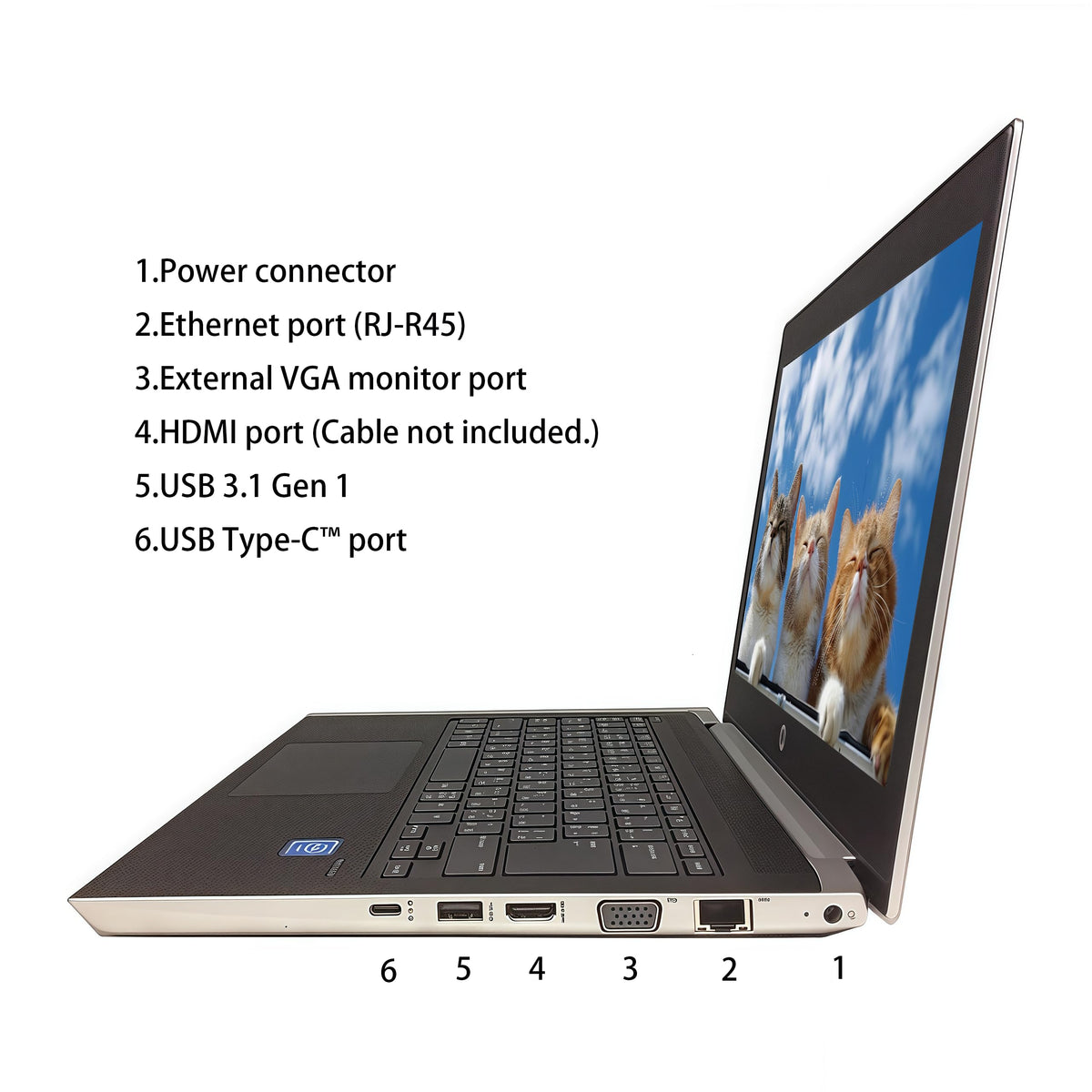HP Computadora portátil ProBook MT31 Laptop, Cliente Ligero móvil, Intel Celeron-3867U, 8 GB de RAM, 128 GB de SSD, cámara Web, Tipo C, HDMI, Windows 10 Pro (renovado)
