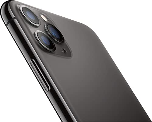 iPhone 11 Pro Max 64 GB Gris espacial