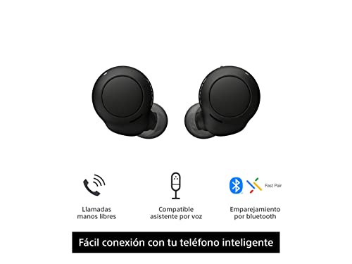 Sony Auriculares inalámbricos verdaderos, batería de hasta 20 horas,  estuche de carga, compatible con asistente de voz, micrófono integrado para