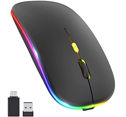 Salandens Mouse Inalambrico,Wireless Mouse Recargable 2.4g Ergonómico óptico Silencioso Click,Raton inalambrico con USB y Tipo-c Adaptador(800/1200/1600) Ajustable dpi Mouse para Portátil,Pc,Mac.