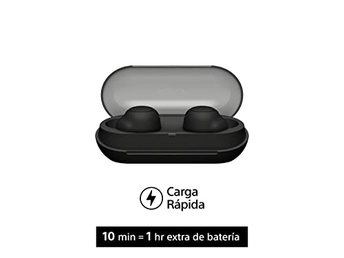 Sony WF-C500 Auriculares Bluetooth intraurales realmente inalámbricos con  micrófono y resistencia al agua IPX4, color negro