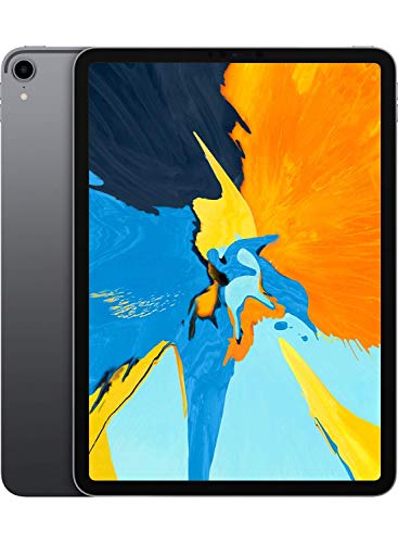 Apple iPad Pro (11-inch, Wi-Fi, 64GB) - Space Gray (2018) (Reacondicio