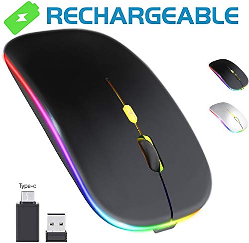 Salandens Mouse Inalambrico,Wireless Mouse Recargable 2.4g Ergonómico óptico Silencioso Click,Raton inalambrico con USB y Tipo-c Adaptador(800/1200/1600) Ajustable dpi Mouse para Portátil,Pc,Mac.