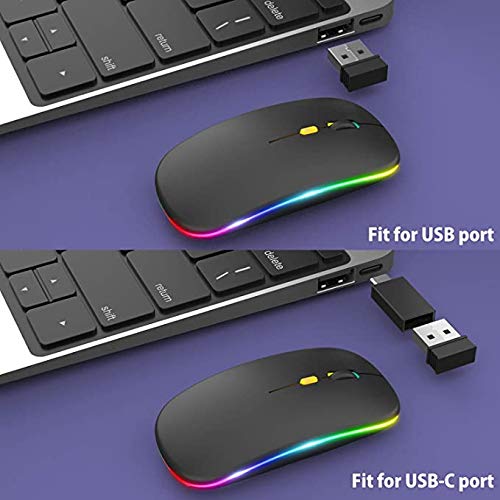 Salandens Mouse Inalambrico,Wireless Mouse Recargable 2.4g Ergonómico óptico Silencioso Click,Raton inalambrico con USB y Tipo-c Adaptador(800/1200/1600) Ajustable dpi Mouse para Portátil,Pc,Mac.