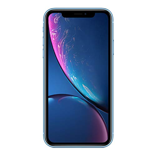 Apple iPhone XR 256 GB Azul Desbloqueado (Reacondicionado)