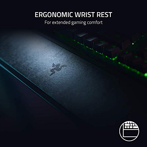 Razer BlackWidow V3 Teclado mecánico para juegos: interruptores mecánicos verdes, táctiles y clic, iluminación Chroma RGB, factor de forma compacto, funcionalidad macro programable, paso USB (Renewed)