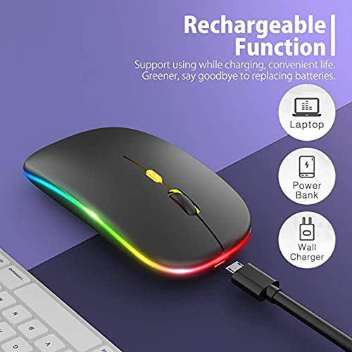Salandens Mouse Inalambrico,Wireless Mouse Recargable 2.4g Ergonómico óptico Silencioso Click,Raton inalambrico con USB y Tipo-c Adaptador(800/1200/1600) Ajustable dpi Mouse para Portátil,Pc,Mac.