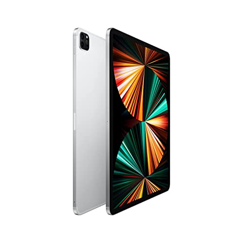 IPAD PRO5 12.9" 256GB SILVER 4G