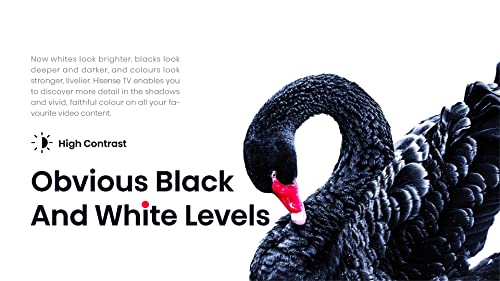Hisense Serie A4 40 Pulgadas Clase FHD Smart Android TV con DTS Virtual X, Modos de Juego y Deportes, Chromecast Integrado, compatibilidad con Alexa (40A4H, Nuevo Modelo 2022)