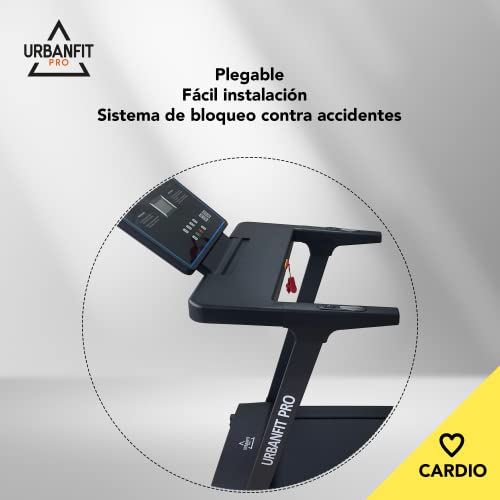 ACHEMEX