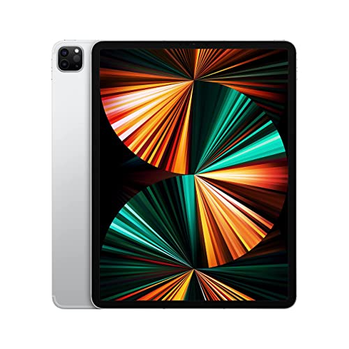 IPAD PRO5 12.9" 256GB SILVER 4G