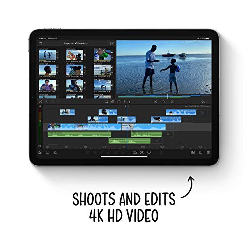 Apple iPad Air (10 Pulgadas, Wi-Fi, 256 GB) - Gris Espacial (último Modelo, 4da generación) (Reacondicionado)